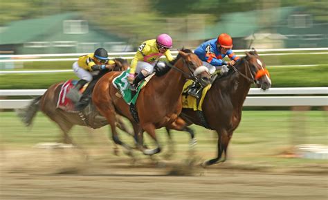 horses betting news|Popular Stake Races .